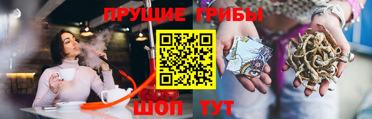 Псилоцибиновые грибы Psilocybe  Вход с VPN  Краснодар 